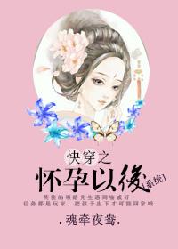 快穿之怀孕以后系统